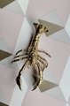 Gold solid brass lobster cabinet pull/Sea creature shaped door handle/beach themed drawer knob/brass furniture hardware/Crab shaped handle
