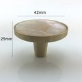 Round Iridescent Abalone Shell Drawer pull/Pearl Cabinet pull/mother of pearl door handle/light abalone knob/shell furniture hardware