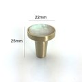 Round Iridescent Abalone Shell Drawer pull/Pearl Cabinet pull/mother of pearl door handle/light abalone knob/shell furniture hardware
