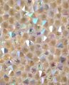 Gold iridescent rainbow crystal cabinet handle/Glittery angel aura quartz drawer pull/crystal furniture hardware/shiny gemstone door handle