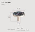Rainbow Abalone Shell Drawer Pull/Iridescent Pearl Cabinet Pull/Mother of Pearl Door Handle/Pearl Drawer Knob/Pearl Furniture Hardware