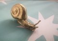 Gold Garden Snail Cabinet Pull/Snail shaped solid brass door handle/Snail drawer pull/Quirky door knob/ DIY brass Furniture hardware
