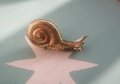 Gold Garden Snail Cabinet Pull/Snail shaped solid brass door handle/Snail drawer pull/Quirky door knob/ DIY brass Furniture hardware