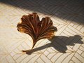 Large Golden Gingko Leaf shaped left or right facing Cabinet Pull/Solid brass Gingko leaf drawer knob/Leaf shaped door handle/brass hardware