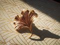 Large Golden Gingko Leaf shaped left or right facing Cabinet Pull/Solid brass Gingko leaf drawer knob/Leaf shaped door handle/brass hardware