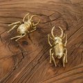Gold Stag Beetle knob/Bug shaped Cabinet drawer pull/insect shaped door Handle/gold drawer pull/unique door handle/drinks cabinet handle