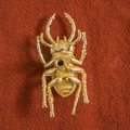 Gold Stag Beetle knob/Bug shaped Cabinet drawer pull/insect shaped door Handle/gold drawer pull/unique door handle/drinks cabinet handle