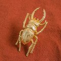 Gold Stag Beetle knob/Bug shaped Cabinet drawer pull/insect shaped door Handle/gold drawer pull/unique door handle/drinks cabinet handle
