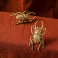 Gold Stag Beetle knob/Bug shaped Cabinet drawer pull/insect shaped door Handle/gold drawer pull/unique door handle/drinks cabinet handle