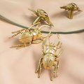 Gold Stag Beetle knob/Bug shaped Cabinet drawer pull/insect shaped door Handle/gold drawer pull/unique door handle/drinks cabinet handle