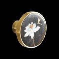 Round gold brass walnut wood and shell inlay drawer pull/Intricate pearl inlay cabinet pull/waterlily door handle/clover leaf design handle