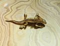 Gold lizard drawer handle/Brass bearded dragon door handle/unique drawer pull/Lizard cabinet handle/Gold reptile drawer knob/Geko door pull