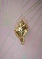 Gold solid brass conch shell cabinet pull/Seashell shaped door handle/beach themed drawer knob/brass furniture hardware/sea shell handle