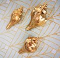 Gold solid brass conch shell cabinet pull/Seashell shaped door handle/beach themed drawer knob/brass furniture hardware/sea shell handle