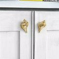 Gold solid brass conch shell cabinet pull/Seashell shaped door handle/beach themed drawer knob/brass furniture hardware/sea shell handle