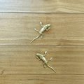 Gold lizard drawer handle/Brass bearded dragon door handle/unique drawer pull/Lizard cabinet handle/Gold reptile drawer knob/Geko door pull