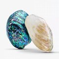 Square mother of pearl drawer pull/Pearl and brass cabinet pull/Mother of Pearl door handle/Pearl drawer knob/Pearl Furniture Hardware/MOP