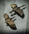 Brass Flying Egret Cabinet Pull/Gold Crane Door Handle/Stork shaped drawer handle/gold furniture hardware/Oriental Bird Cabinet Handle