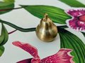 Golden pear cabinet pull/Gold brass pear door knob/Autumn theme decor/Brass drawer handle/home improvement/Gold pear door handle/Fruit knob