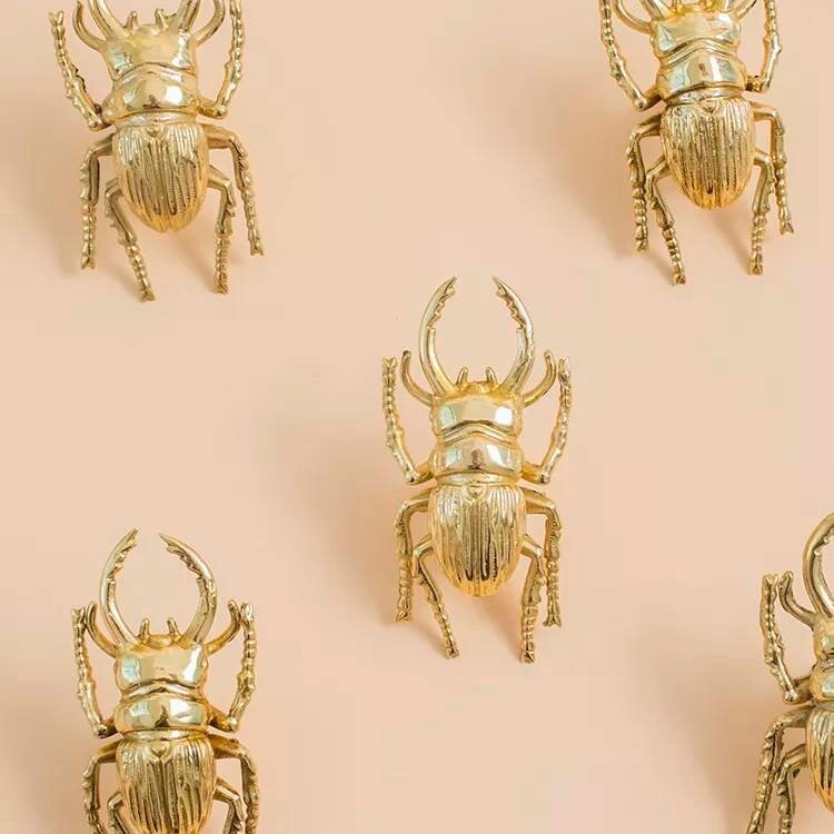 Gold Stag Beetle knob/Bug shaped Cabinet drawer pull/insect shaped door Handle/gold drawer pull/unique door handle/drinks cabinet handle