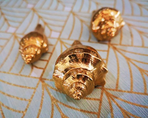 Gold solid brass conch shell cabinet pull/Seashell shaped door handle/beach themed drawer knob/brass furniture hardware/sea shell handle